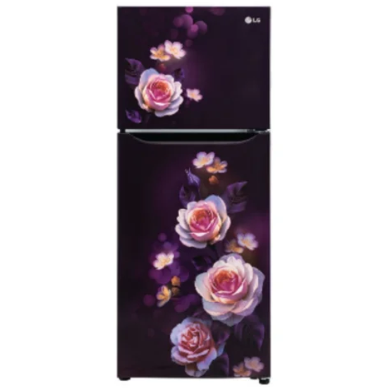 LG GL-N292DPBY 242 L, 2 Star, N292DPBY.APBZEBN, Smart Inverter Frost-Free Double Door Refrigerator, Smart Connect